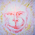 Friday, October 23, 2015