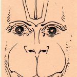 Sunday, November 6, 2016