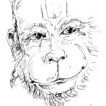 Tuesday, February 14, 2017