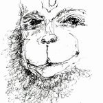 Saturday, February 25, 2017