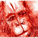 Sunday, March 19, 2017