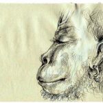 Friday, July 21, 2017