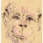 Sunday, August 6, 2017