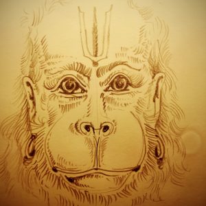 Wednesday, November 22, 2017