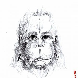 Thursday, December 7, 2017