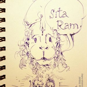 Wednesday, June 13, 2018