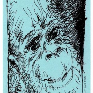 Sunday, July 22, 2018