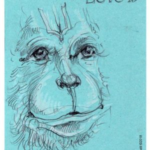 Friday, December 21, 2018