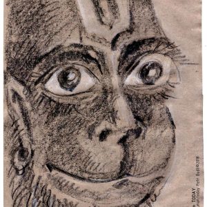 Friday, November 30, 2018