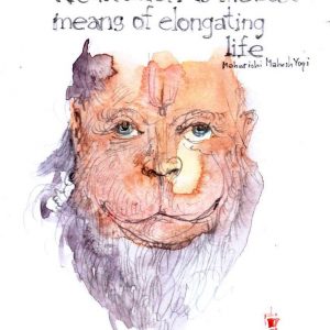 Monday, January 7, 2019