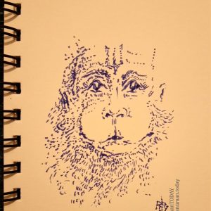 Thursday, March 7, 2019