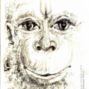 Sunday, June 30, 2019