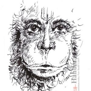 Sunday, September 22, 2019