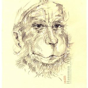 Sunday, October 20, 2019