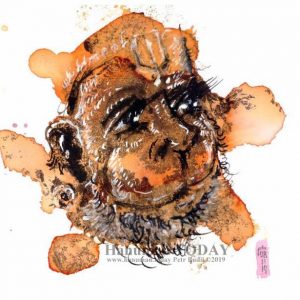 Friday, November 8, 2019