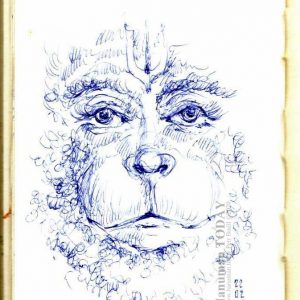 Saturday, February 22, 2020