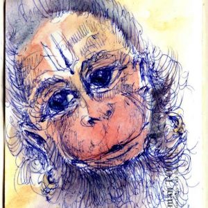 Saturday, March 14, 2020