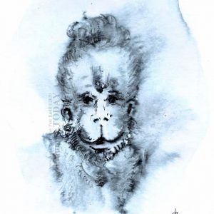 Thursday, November 5, 2020