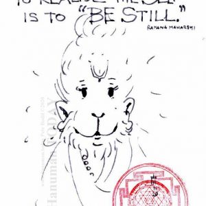 Wednesday, November 11, 2020