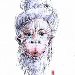 Friday, November 27, 2020