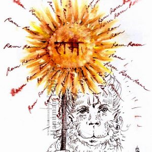 Sunday, November 29, 2020