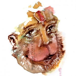 Wednesday, January 20, 2021