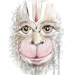 Tuesday, February 9, 2021