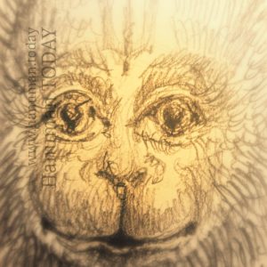 Wednesday, March 24, 2021