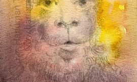 Sunday, November 2, 2025