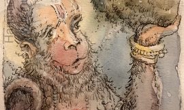 Sunday, November 23, 2025