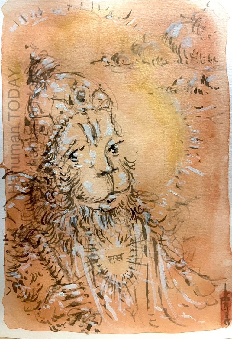 Read more about the article Saturday, November 29, 2025