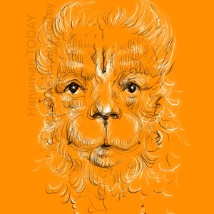 Friday, November 7, 2025