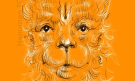 Friday, November 7, 2025