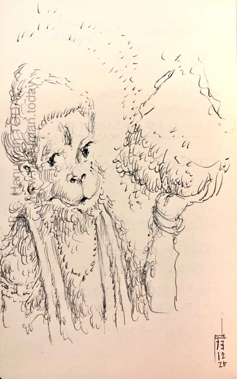 Read more about the article Wednesday, December 3, 2025