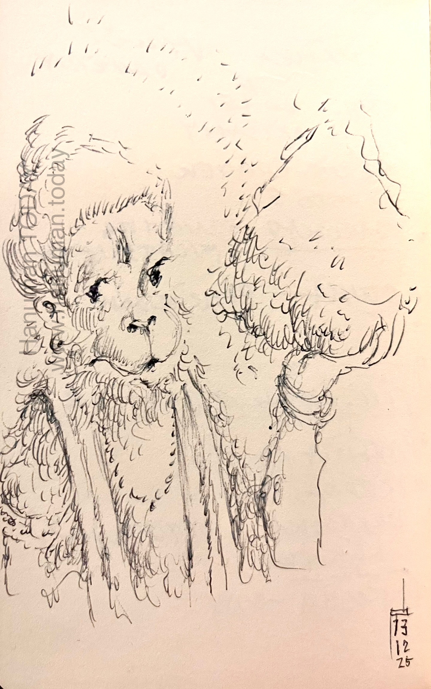 You are currently viewing Wednesday, December 3, 2025