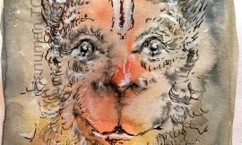 Friday, December 5, 2025