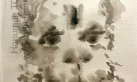 Wednesday, December 10, 2025