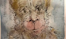 Tuesday, December 23, 2025