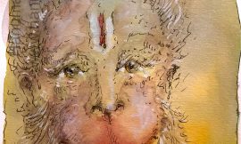 Sunday, January 11, 2026