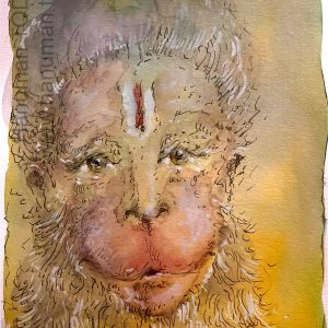 Sunday, January 11, 2026