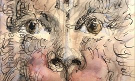 Monday, January 19, 2026