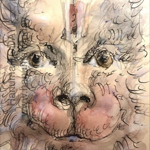 Monday, January 19, 2026