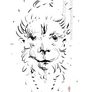 Wednesday, January 14, 2026