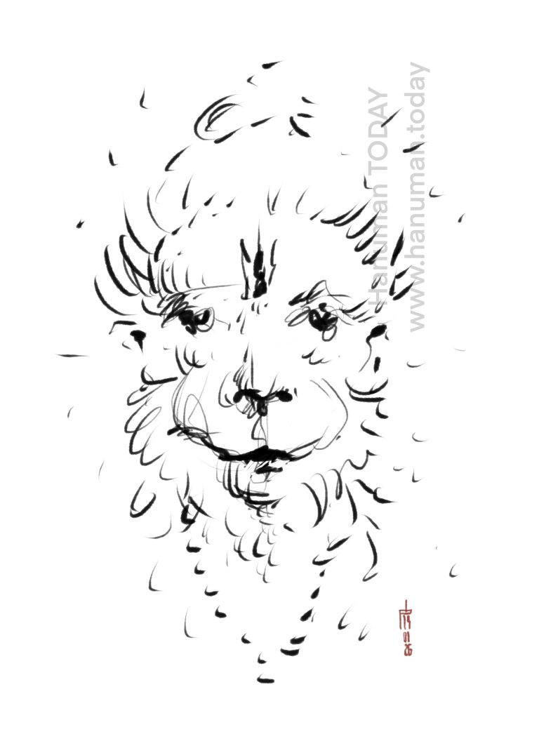 Read more about the article Wednesday, January 14, 2026