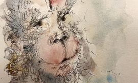 Wednesday, February 18, 2026