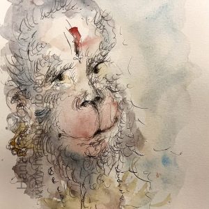 Wednesday, February 18, 2026