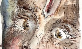 Thursday, February 19, 2026