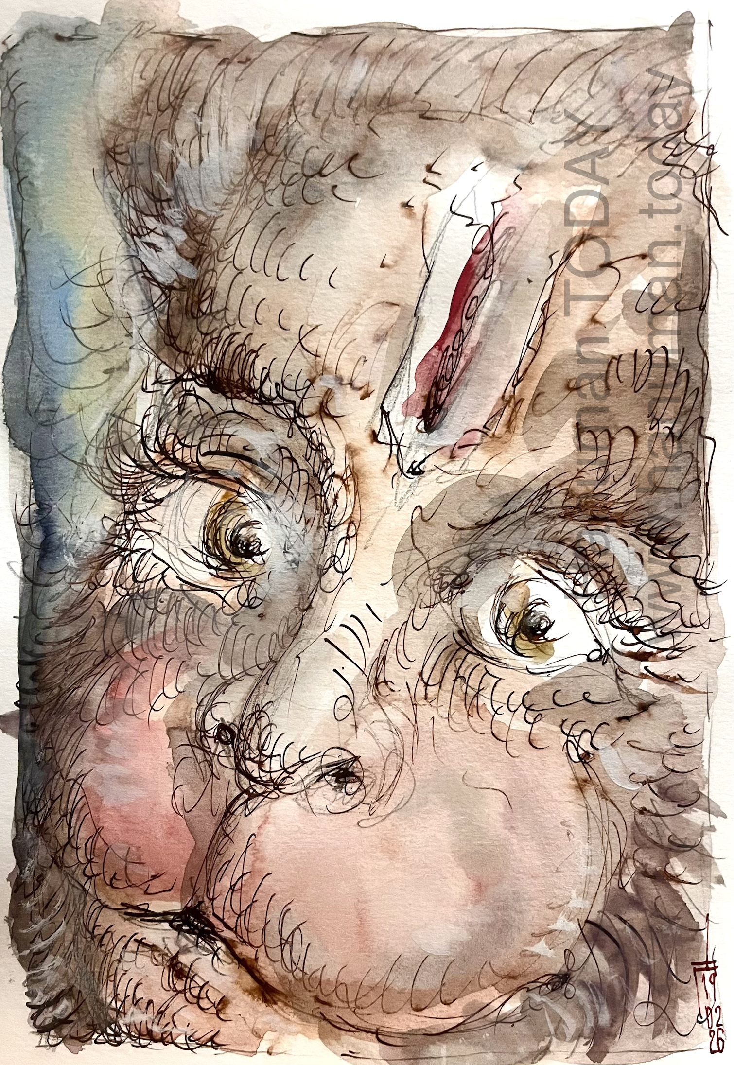 You are currently viewing Thursday, February 19, 2026