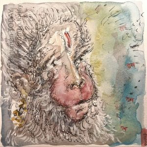 Saturday, February 21, 2026