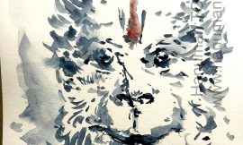 Tuesday, February 24, 2026